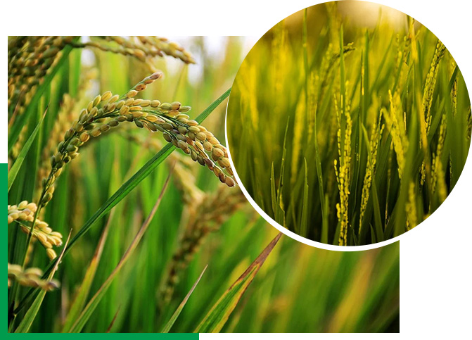 Ayx爱游戏软件下载